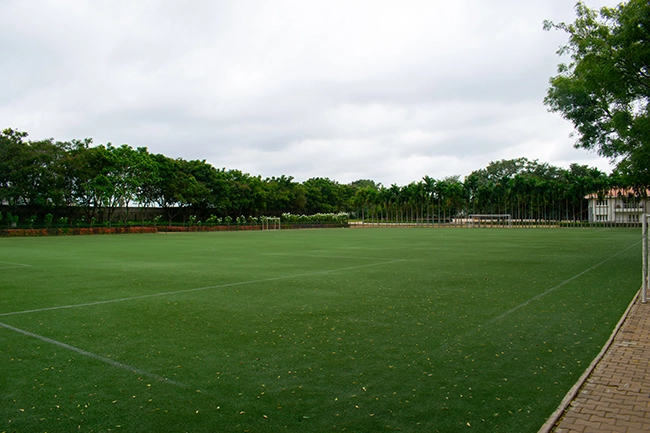 soccer turf 01