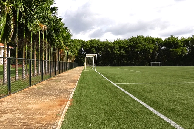 soccer turf 02