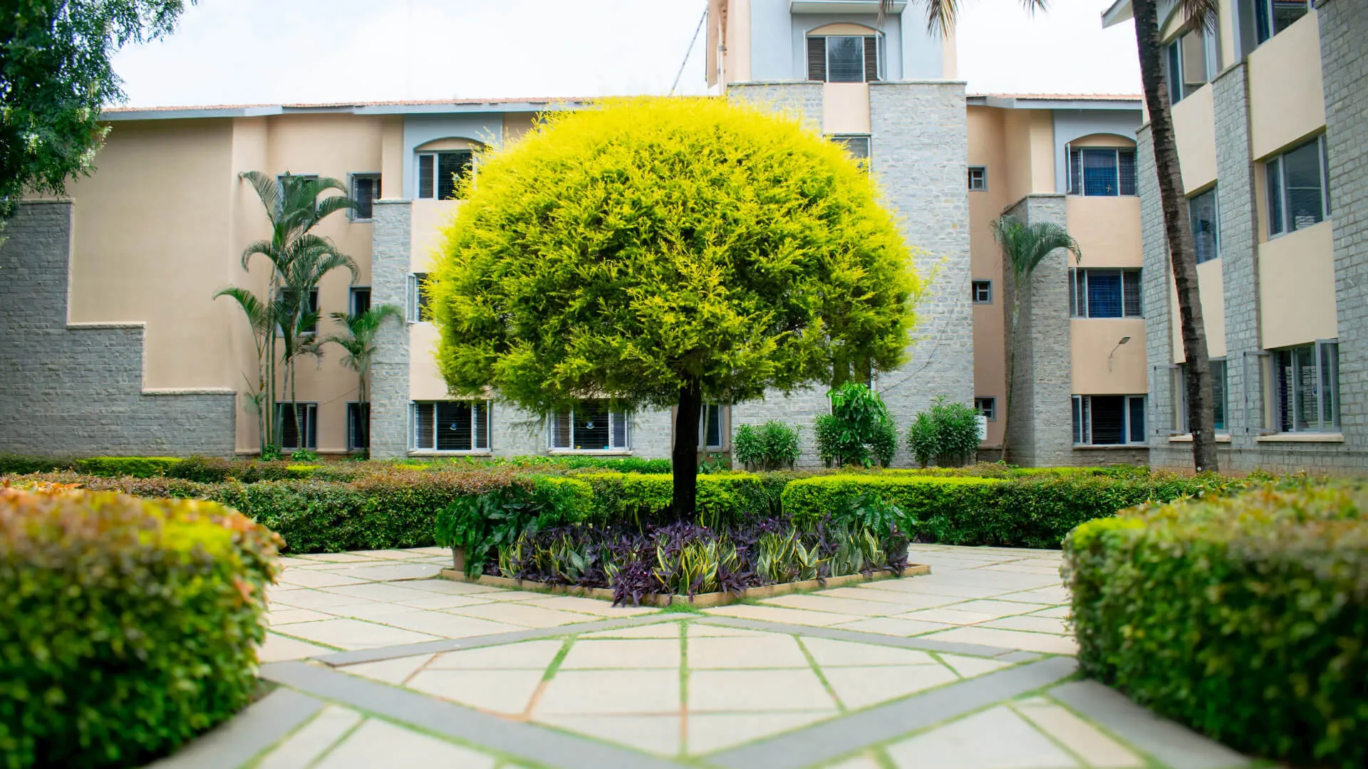 header parent testimonials