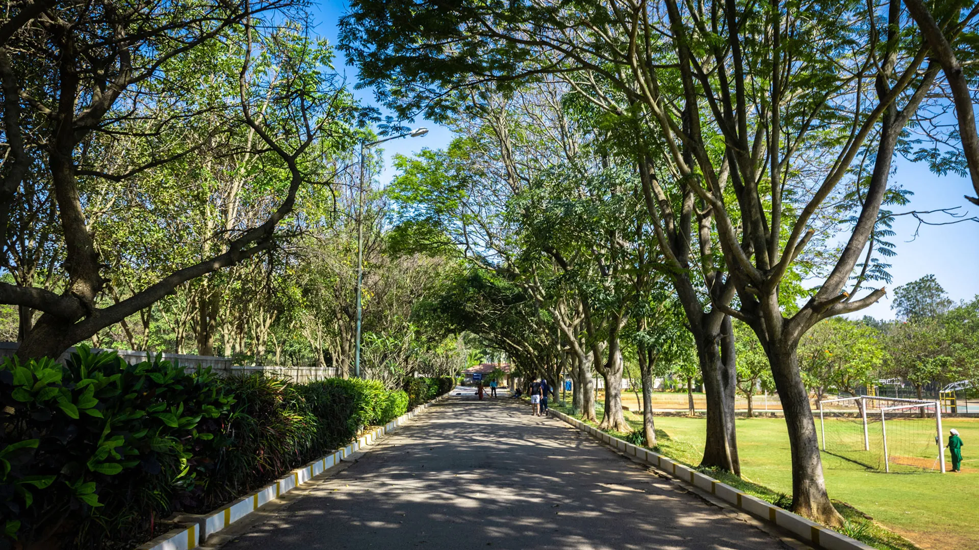 tisb board of governors banner