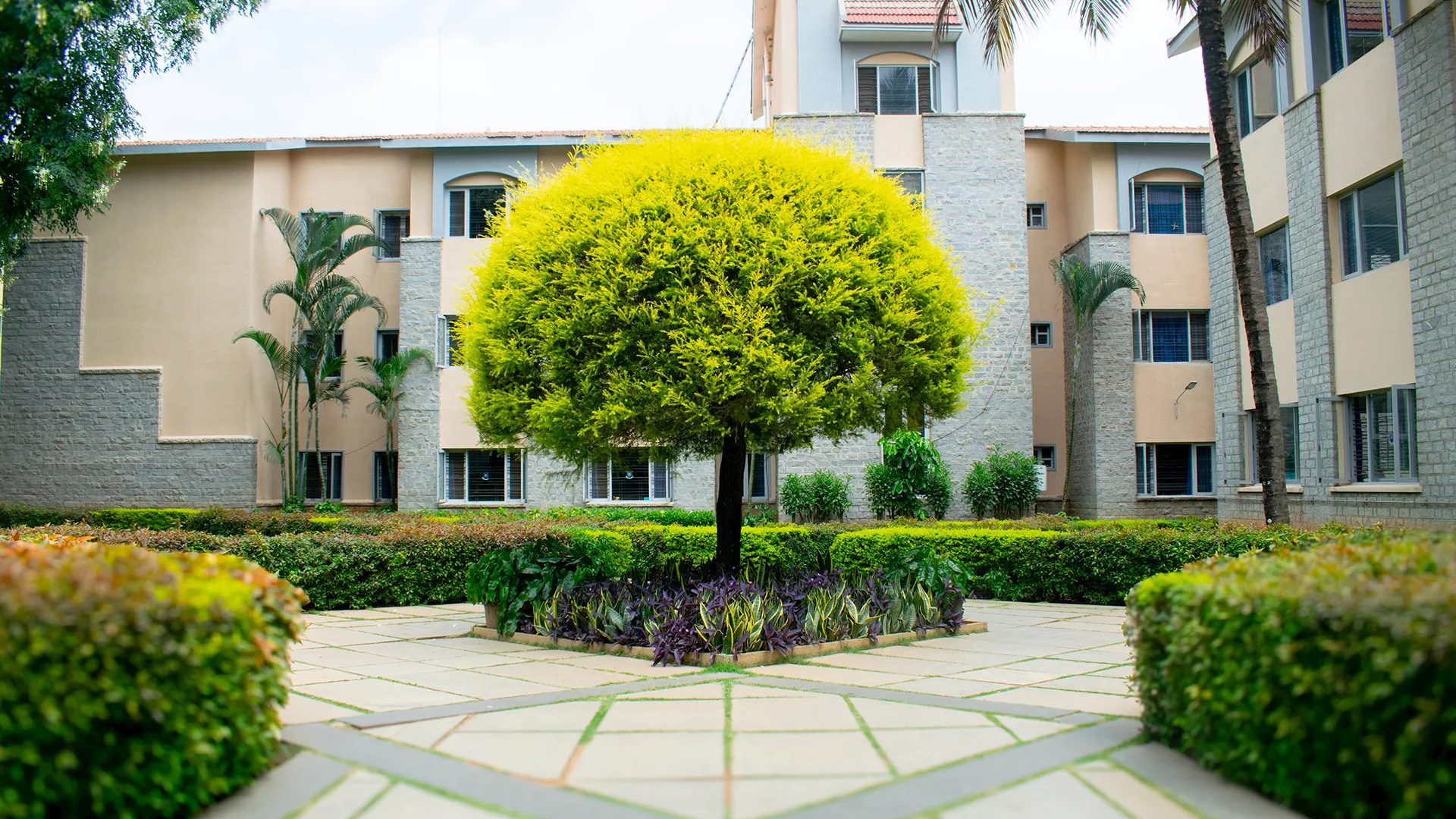 tisb mission vission banner