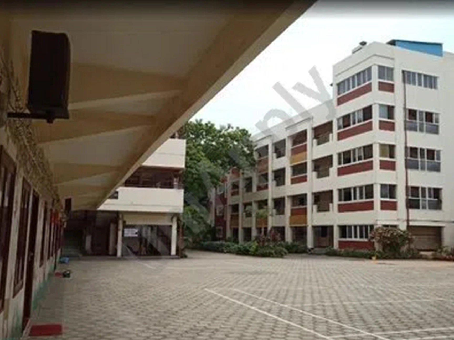 tisb national public school chennai